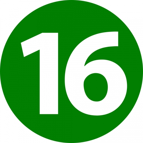 16 icon.svg