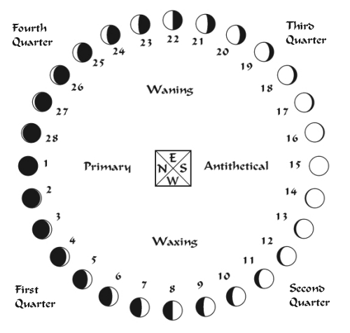 28Phases