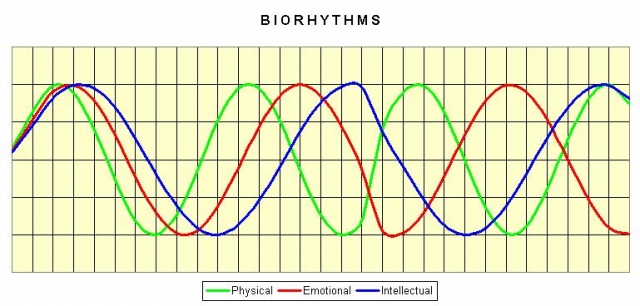 Biorhythms