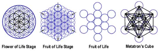 Flower of life metatrons1