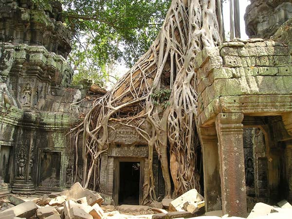 angkor wat 469 1920