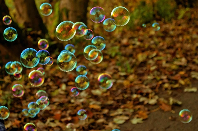 bubbles lr