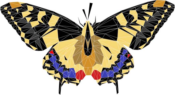 butterfly 2176017 1920