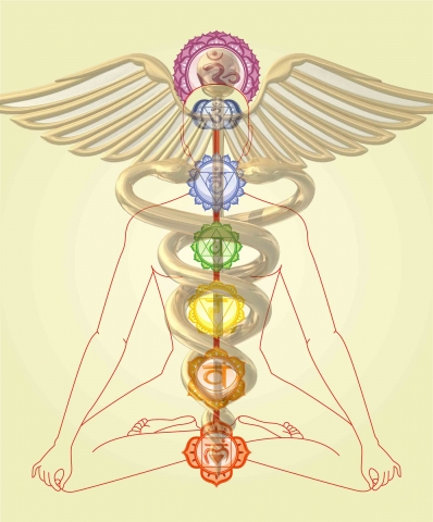 caduceus chakras lr