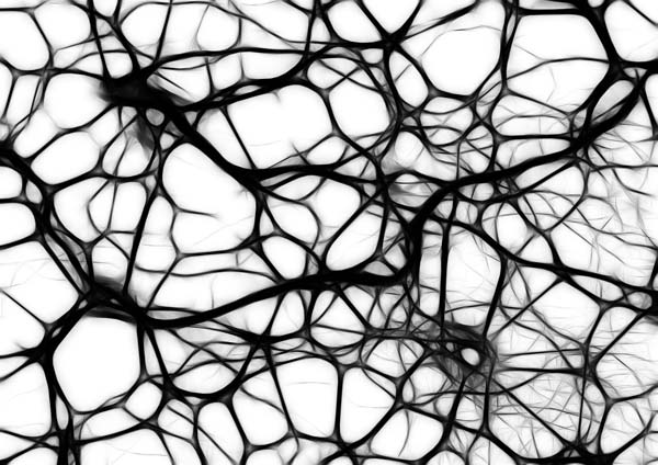 neurons 440660 1920