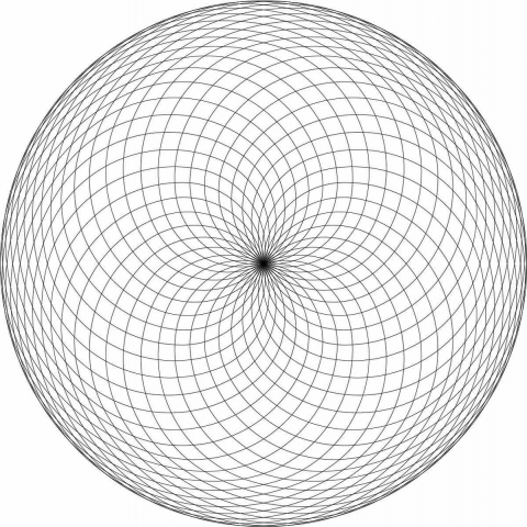 phi torus