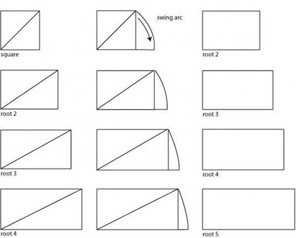 root rectangles