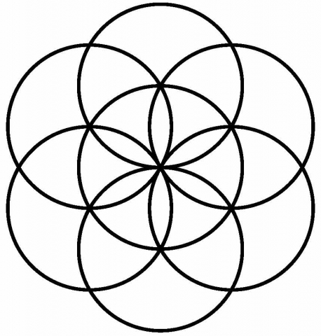 seed of life lr