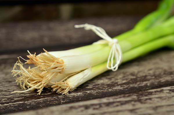 spring onions 845032 1920