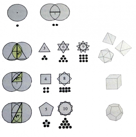 square roots polygons