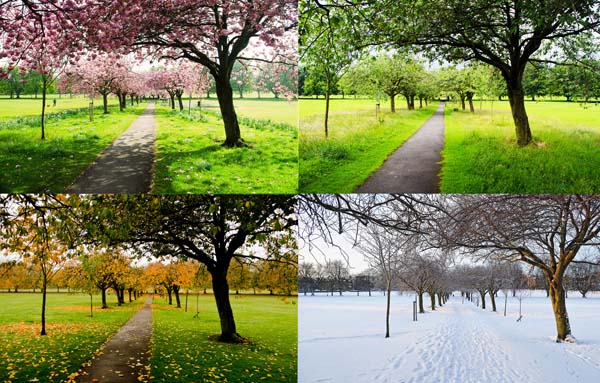 the four seasons