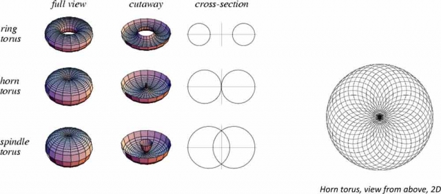 torus parts