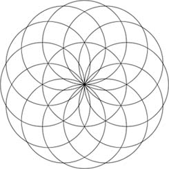 torus 2