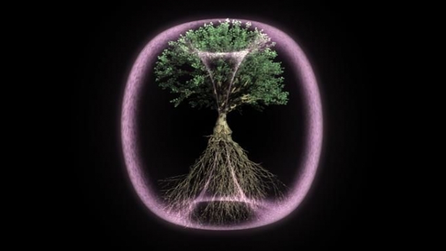 tree torus