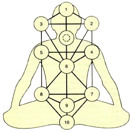 treeoflife body copy