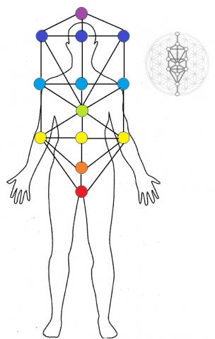 treeoflifehuman lr