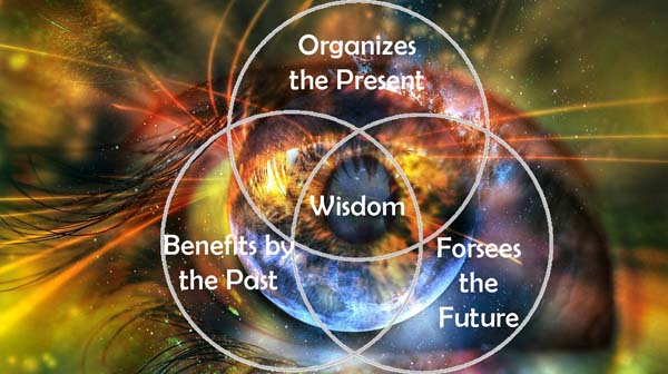 wisdom