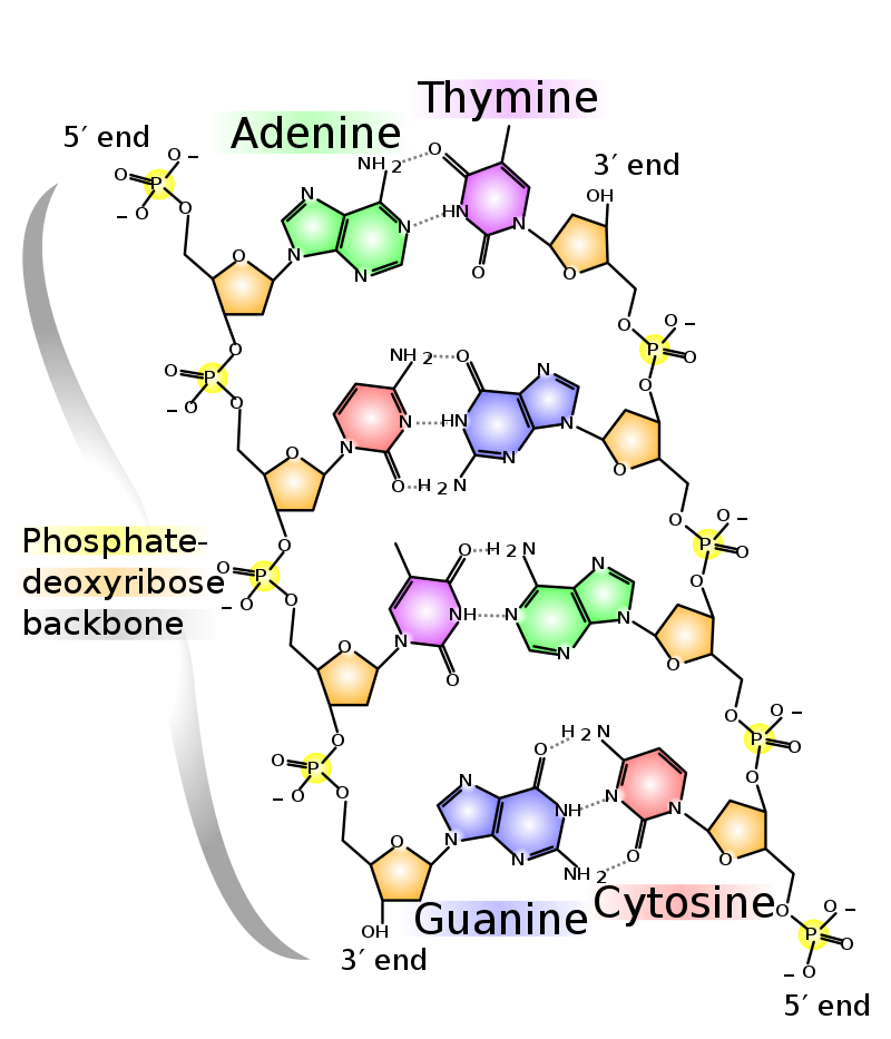 cosmic core