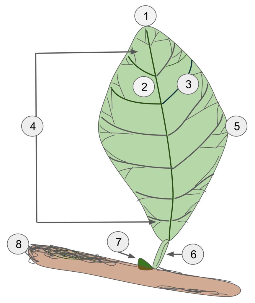 My Image 8